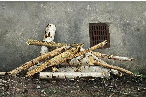 Maciej Cichocki - birch logs