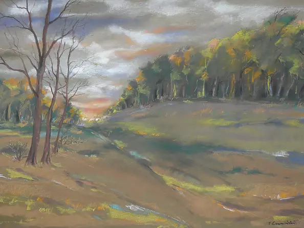 Paweł Czermiński - Polana