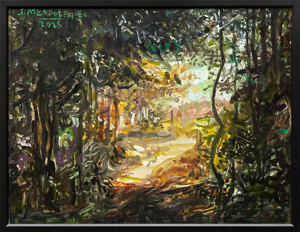 Stanisław Młodożeniec - Clearing