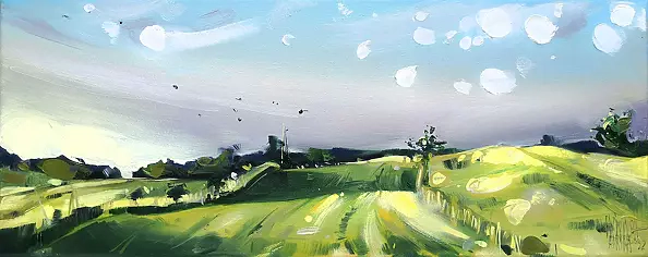 Karina Jaźwińska - Mazur field