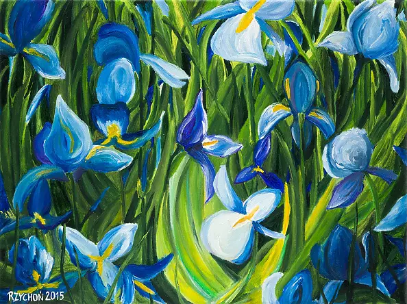 Barbara Rzychoń - field irysków