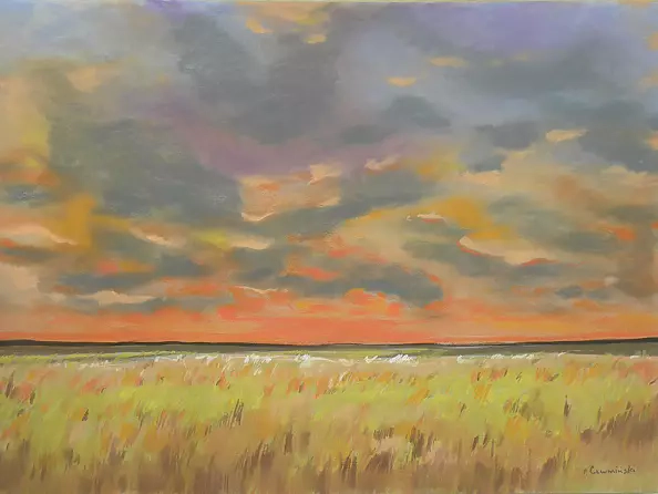 Paweł Czermiński - Field