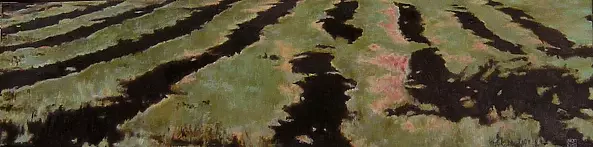 Magdalena Szczęśniak - Pole północne