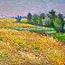 Włodzimierz Draczyński - Wheat field