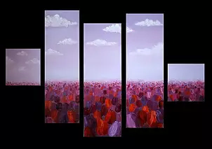 Marta Wideńska - field of tulips