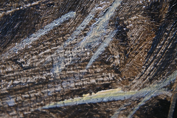 Agnieszka Długołęcka - Pole - żniwa 