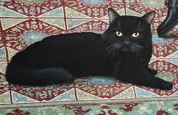 Nataliya Bagatskaya, Black Cat's Energy Policy, Acrylic painting - canvas, 85 x 100