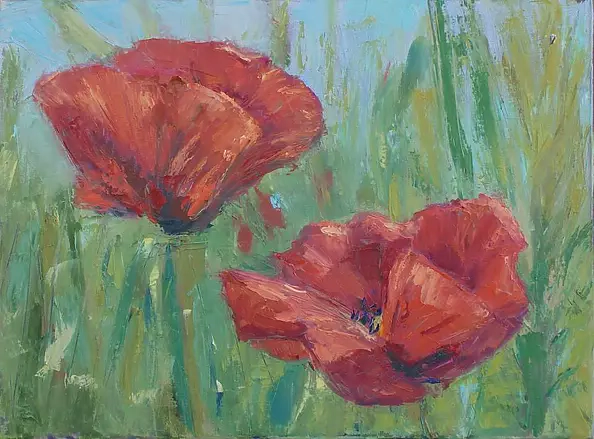 Grzegorz Wójcik - Wildflowers Poppies