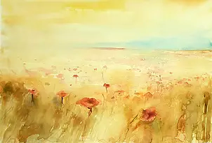   - Wildflowers poppies