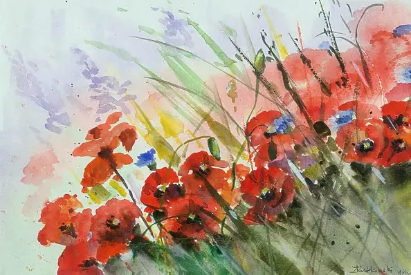 Zdzisław Rutkowski - Wildflowers poppies