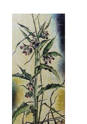 Rafał Jarosz - Field Weed