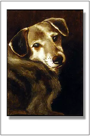 Jolanta Dusza - Polo