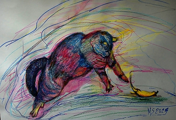 Marzena Salwowska - Polowanie