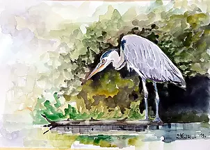 Zdzisław Rutkowski - Polująca czapla