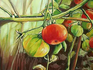   - tomatoes II