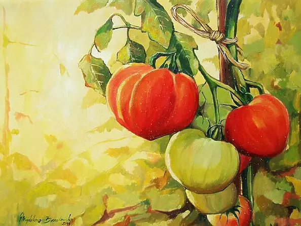Magdalena Bronakowska - tomatoes