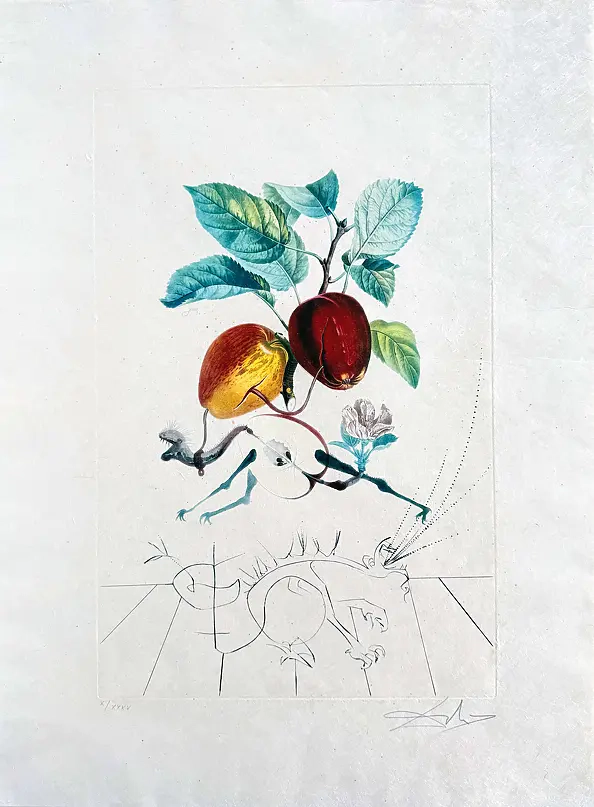Salvador Dali - Pomme dragon (Dragon Apple), rok 1969, litografia