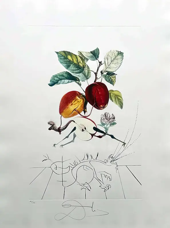 Salvador Dali - Pomme dragon (Dragon Apple), rok 1969, litografia
