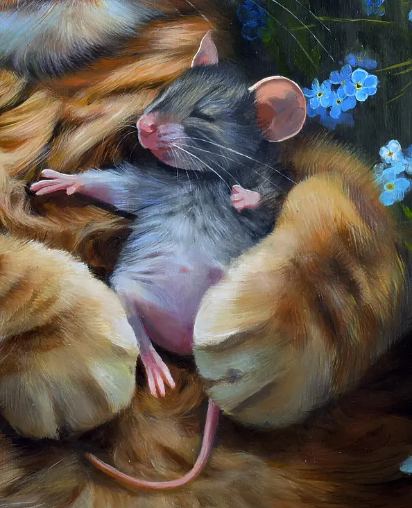 Agata Buczek - Ponad podziałami