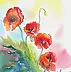 Zdzisław Rutkowski - Poppies III