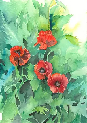 Zdzisław Rutkowski - Maki III