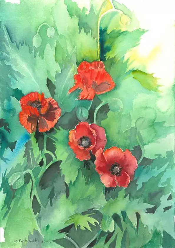 Zdzisław Rutkowski - Maki III