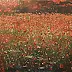 Danil Shurykin - Poppies