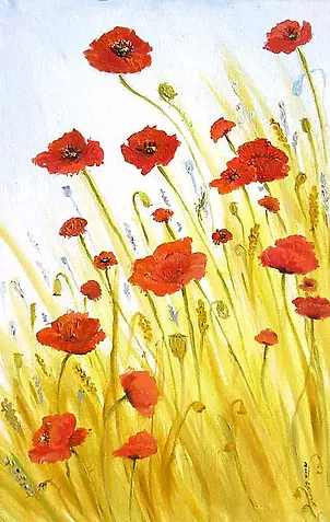 Anna Baryła - Poppies in a field of gold