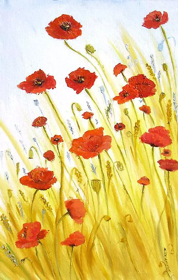 Anna Baryła - Poppies in a field of gold