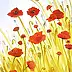 Anna Baryła - Poppies in a field of gold