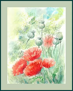   - Poppies in the garden