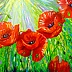 Olha Darchuk - Poppies in the sunlight
