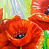 Olha Darchuk - Poppies in the sunlight