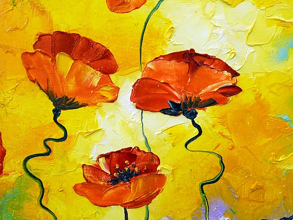 Olha Darchuk - Poppies