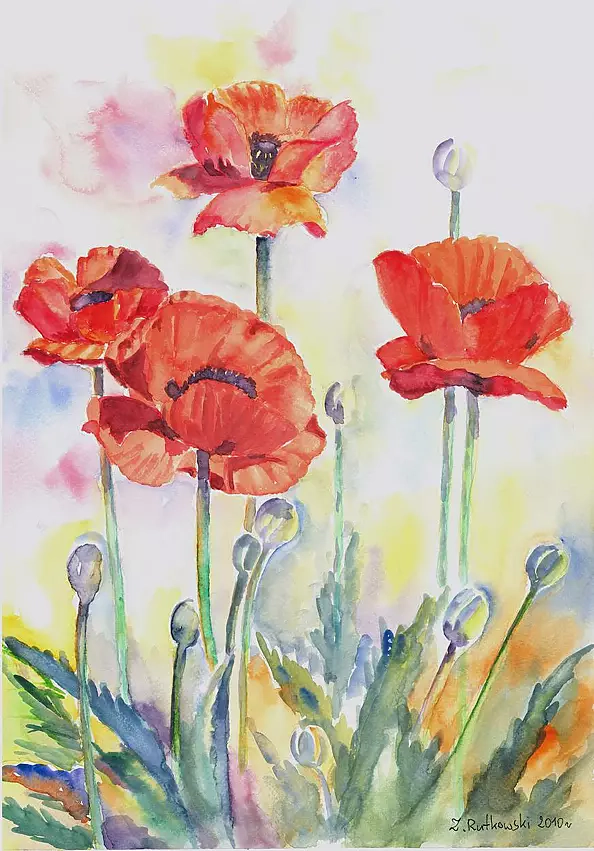 Zdzisław Rutkowski - Maki