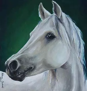 Natasza Sobczak - Portret konia