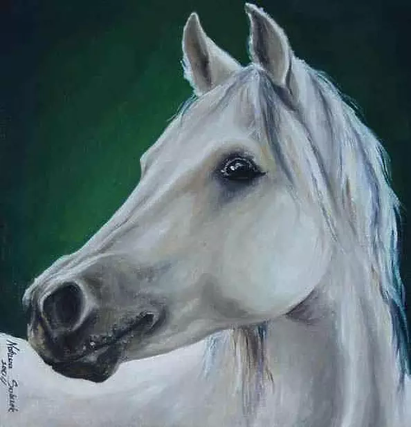 Natasza Sobczak - Portret konia