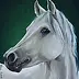 Natasza Sobczak - Portrait eines Pferdes