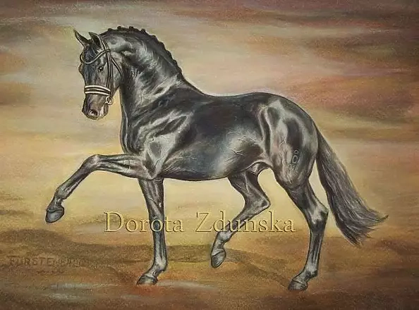 ART DOROTHEAH - Portrait oldenburg stallion FURSTENBALL - Horse painting