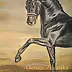 ART DOROTHEAH - Portrait oldenburg stallion FURSTENBALL - Horse painting