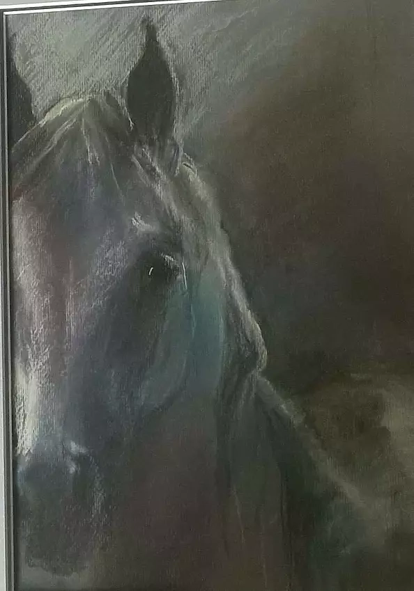 Agnieszka Słowik Kwiatkowska - Portrait of a gray horse