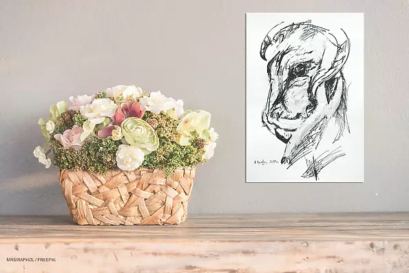 Amelia Augustyn - Portrait