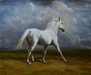   - Porträt von einem weißen Pferd