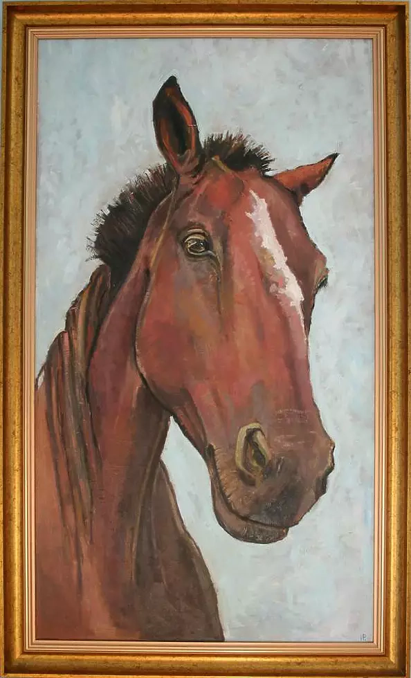 . ivonneimages - Portrait of a chestnut