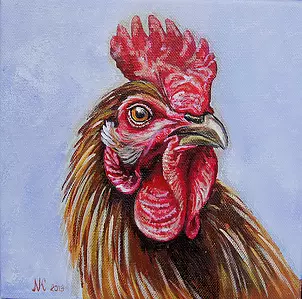   - Portrait of rooster