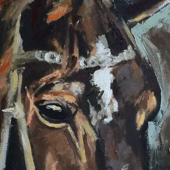 Justyna Zielonka - Portrait of a horse 2