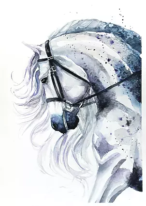   - Portrait of a horse