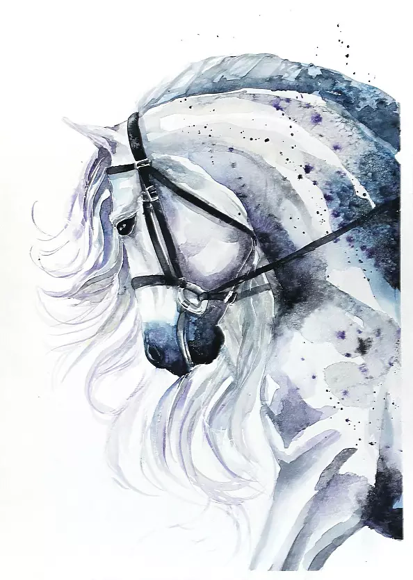 Karolina Kijak - Portrait of a horse