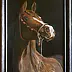 Mirosław Kowzanowicz - Portrait of a horse