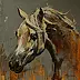 Marcin Mikołajczak - Portrait of a horse